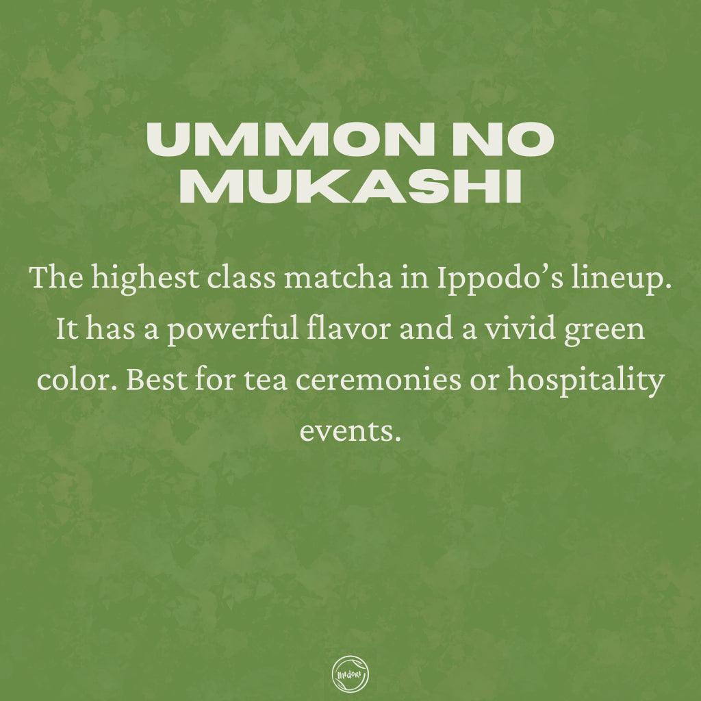 UMMON NO MUKASHI Matcha by Ippodo - MIDORI MATCHA