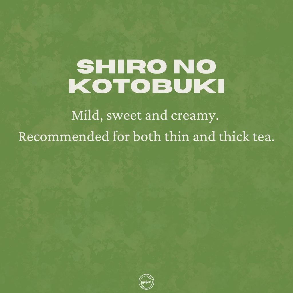 SHIRO NO KOTOBUKI Matcha by Hekisuien - MIDORI MATCHA