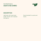 AGATA NO SHIRO by Horii Shichimeien